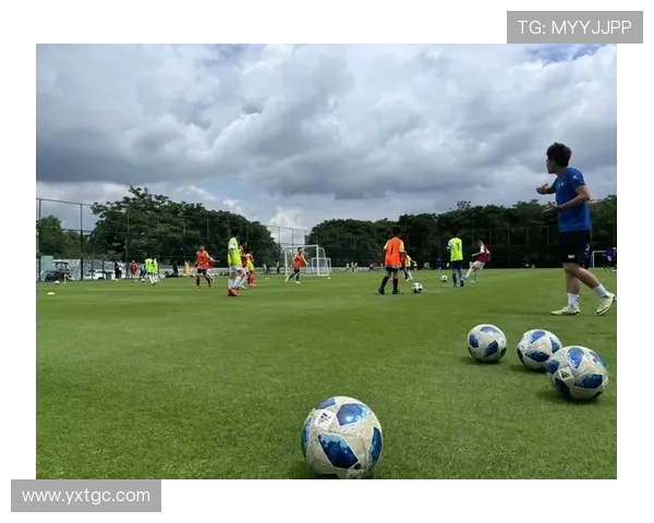 成都足球队实力分析：从战术到球员全面解读球队发展潜力与未来挑战